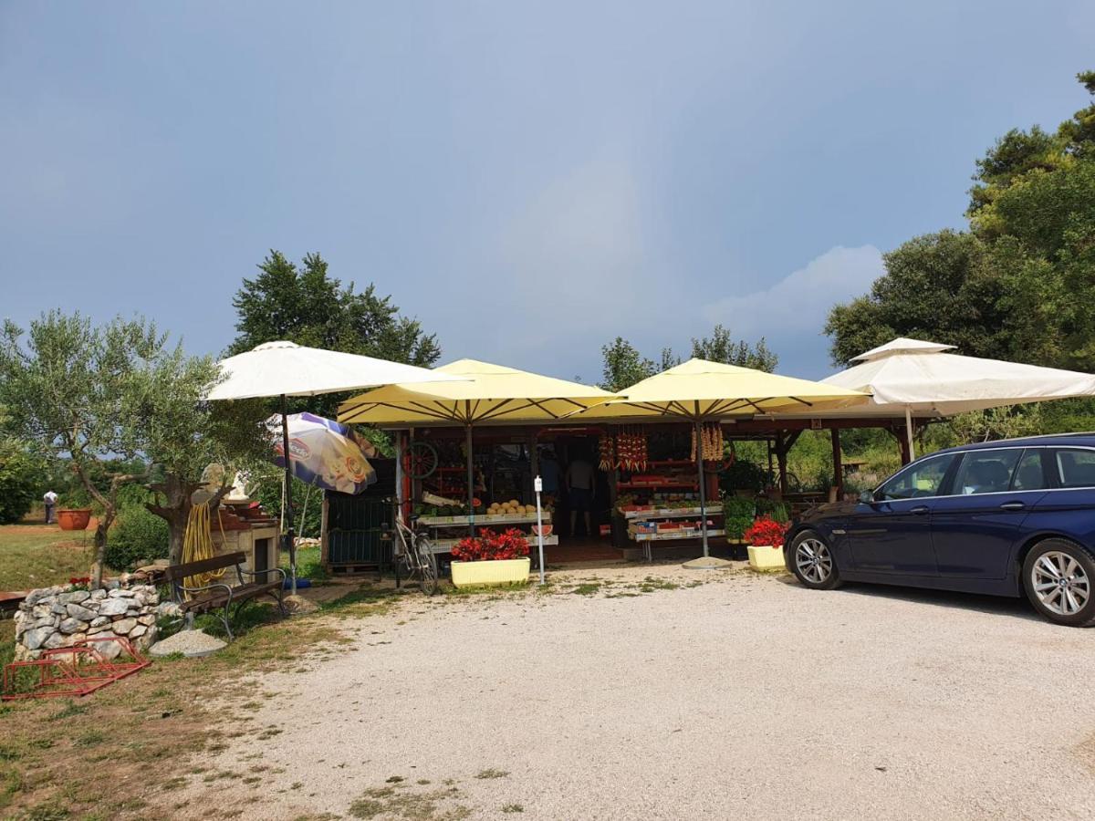 Mobile Leggiero 156 - Porton Nature Hideouts Campsite